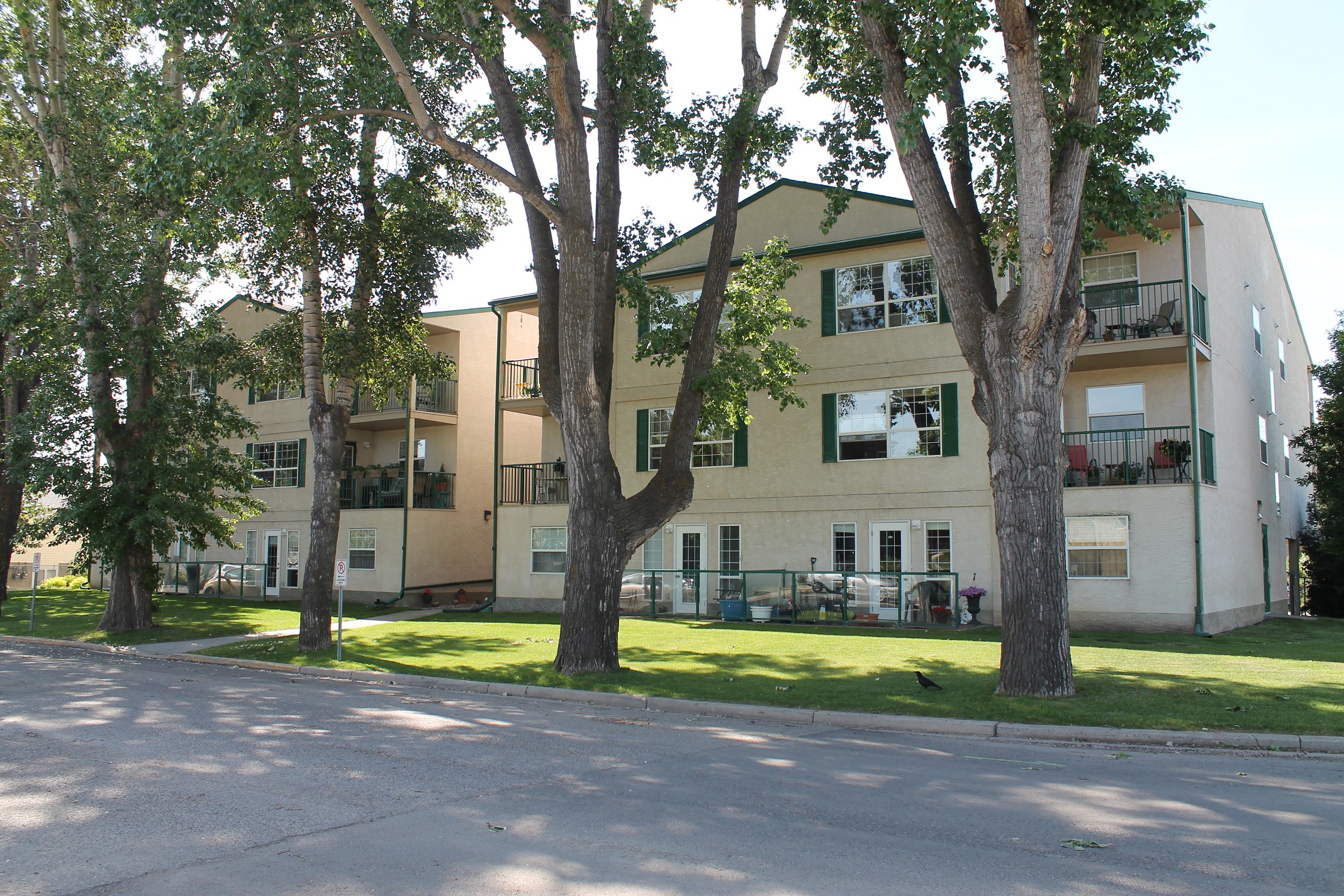 Colonial House